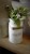 BB7464D6-48AE-4117-AACC-BD8125E41767.jpeg